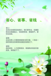荷花展板