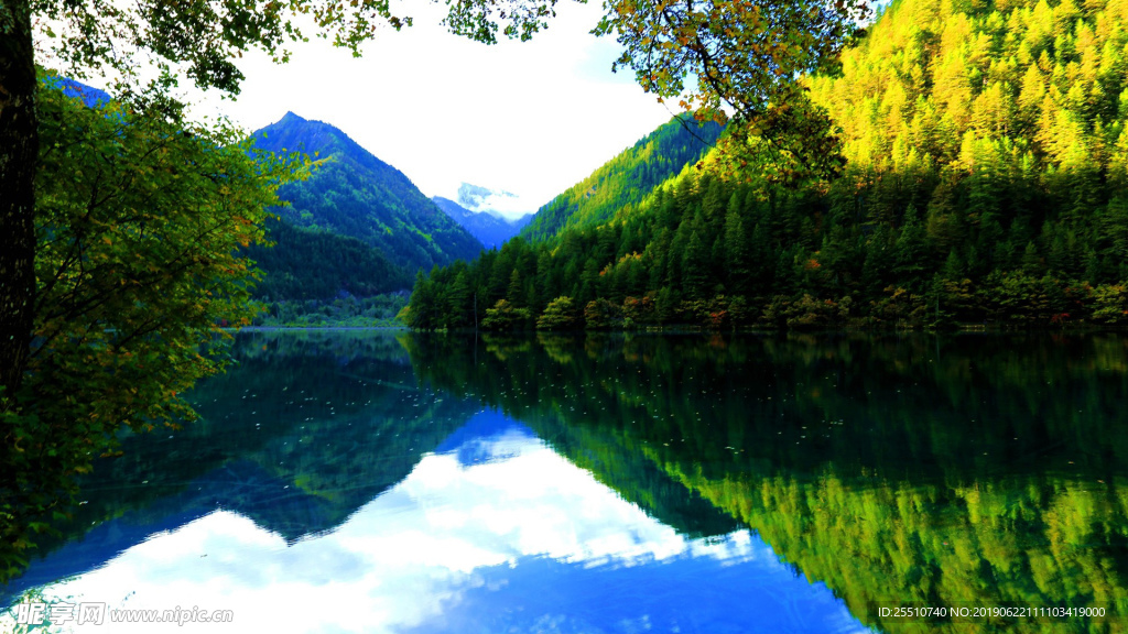 护眼背景 绿色护眼 绿色背景