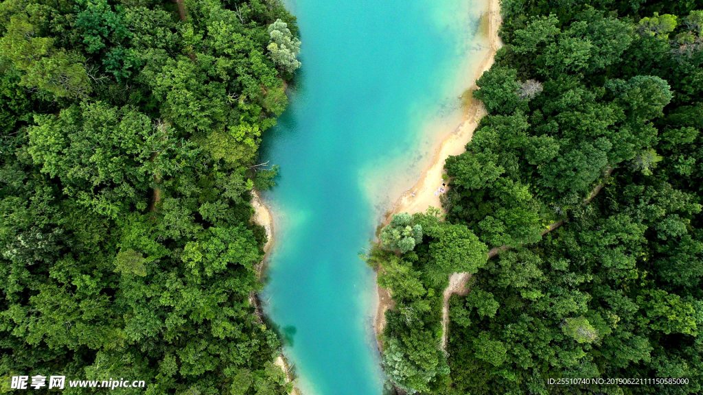 护眼背景 绿色护眼 绿色背景