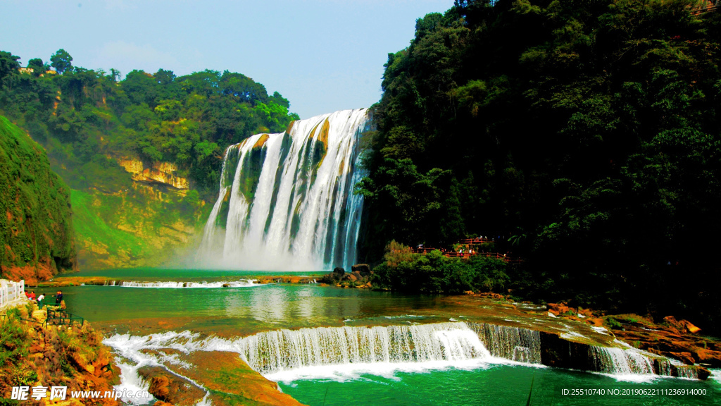 护眼背景 绿色护眼 绿色背景