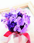 花篮 紫色花朵 美丽花朵 漂亮