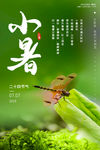小暑