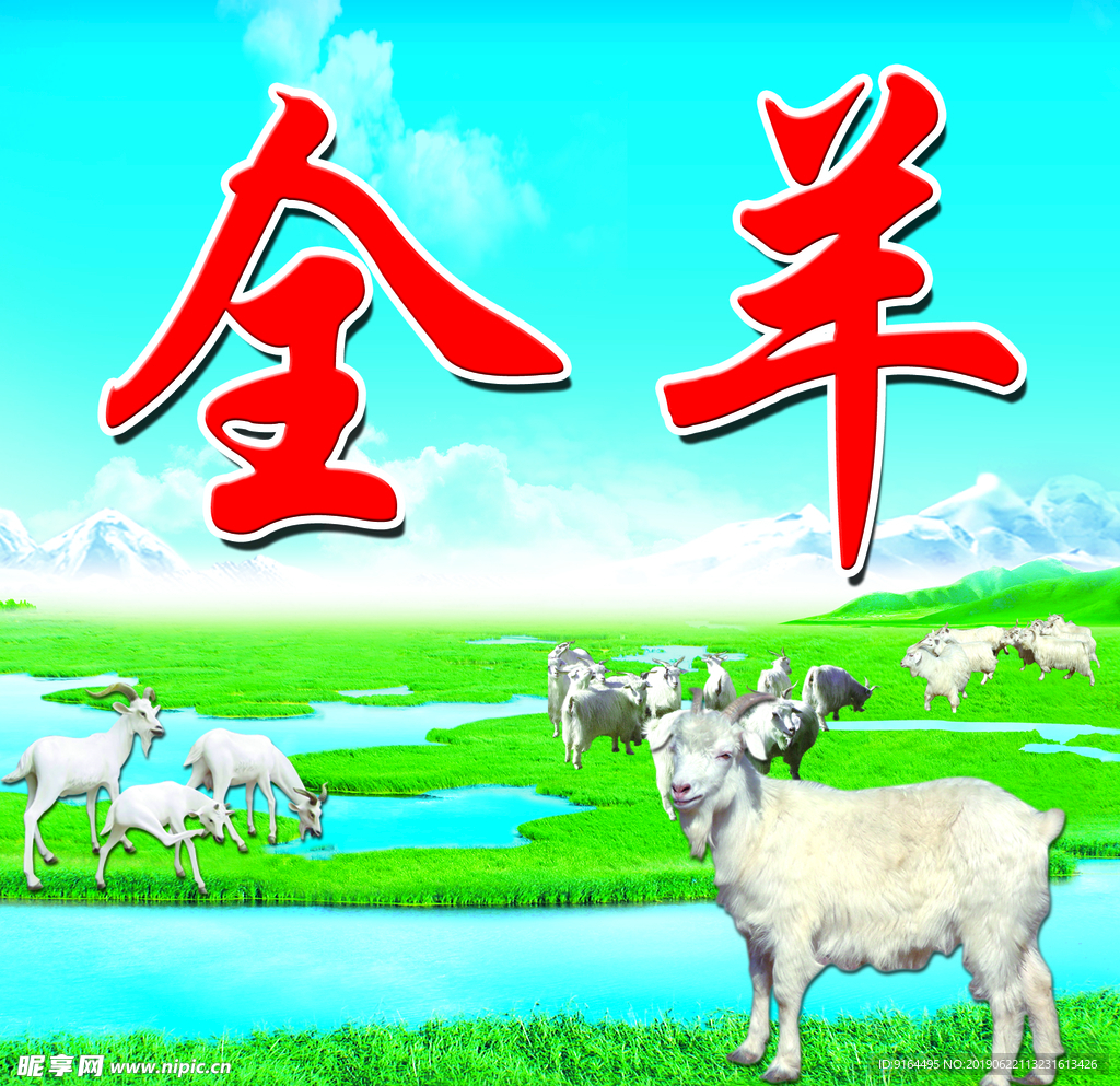 全羊