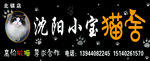 猫舍门头 牌匾