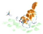 猫咪手绘