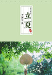 立夏图片