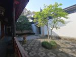 庭院  院子  树木