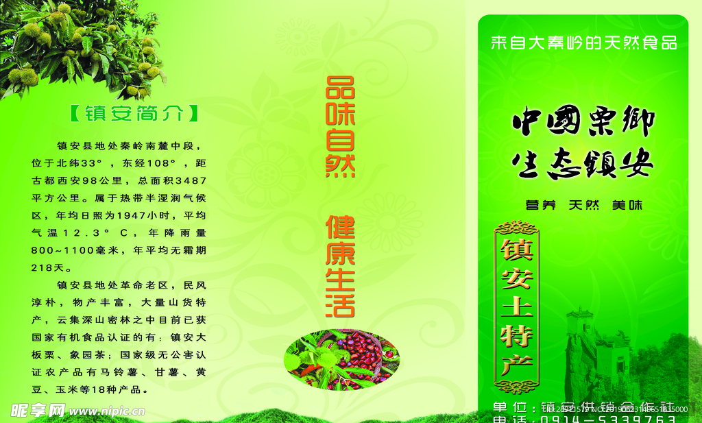 镇安板栗 特产 核桃 塔云山