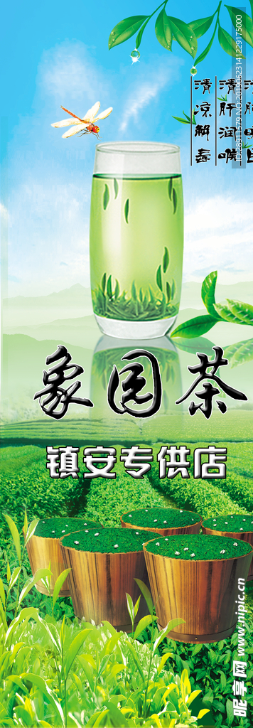 茶叶 茶山 茶园 泡茶 象园茶