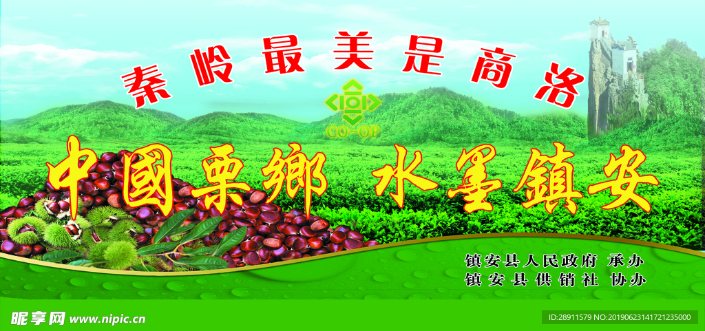 镇安板栗 特产 核桃 塔云山