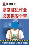 必须系安全带
