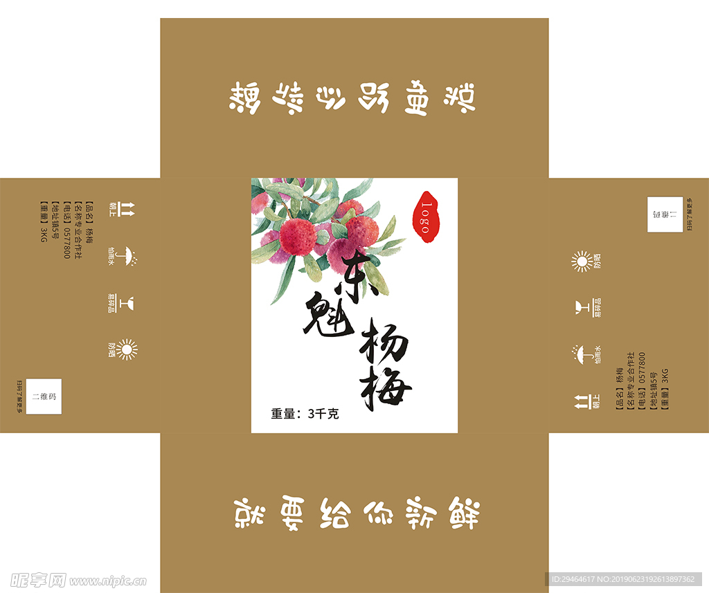 东魁杨梅展开图