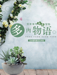 简约清新风格日常多肉植物全屏