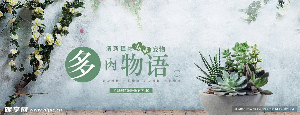 简约清新风格日常多肉植物全屏