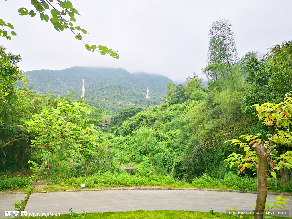 青山绿水