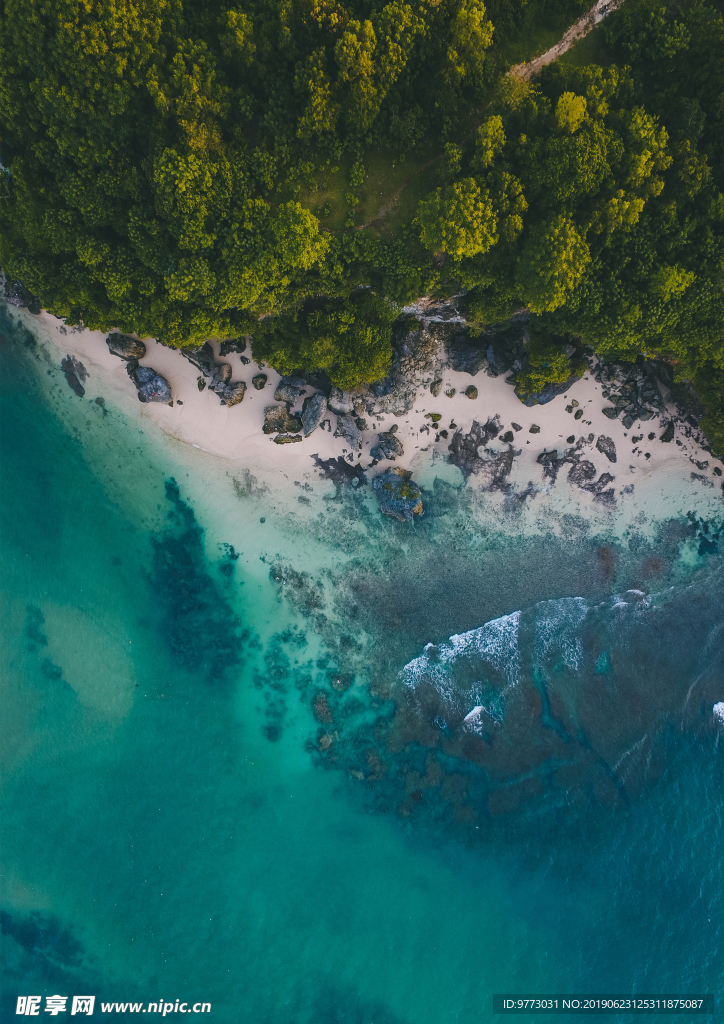 大海