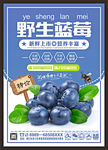 蓝莓