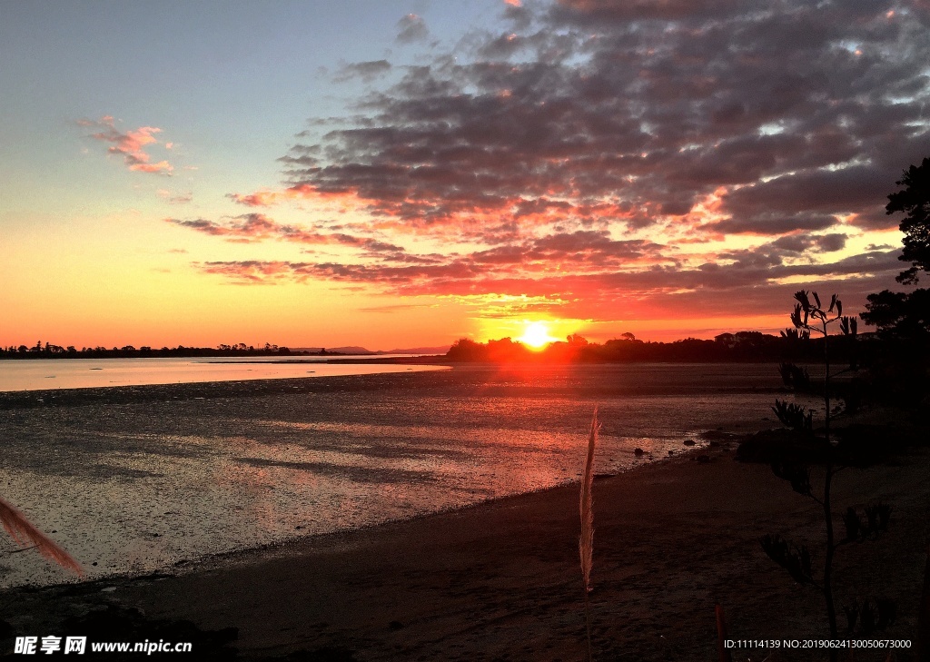 奥克兰海滨夕阳风光