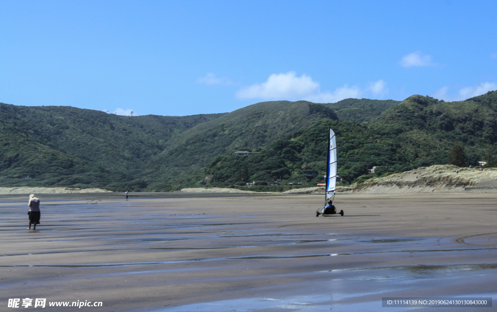 新西兰皮哈海滩风景