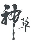 字体设计