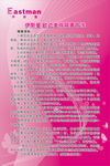伊斯曼版面