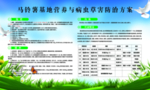 马铃薯