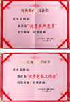 优秀共产党员证书