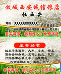 粮店名片