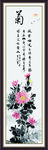 菊花挂画