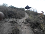 亭榭