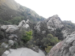 山