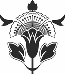 底纹