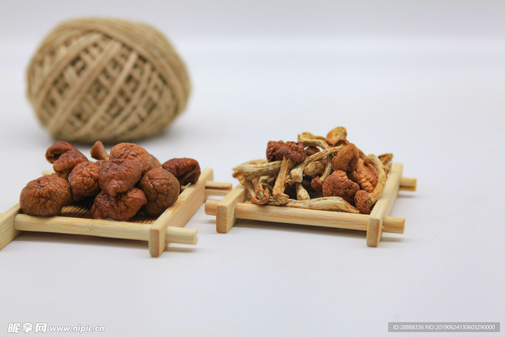 滑子菇