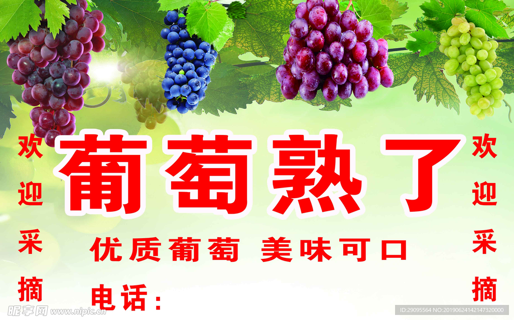 葡萄