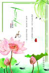 夏至  夏季宣传  节假日海报