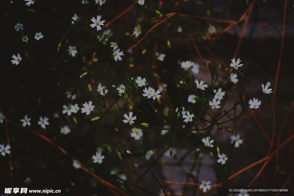 花