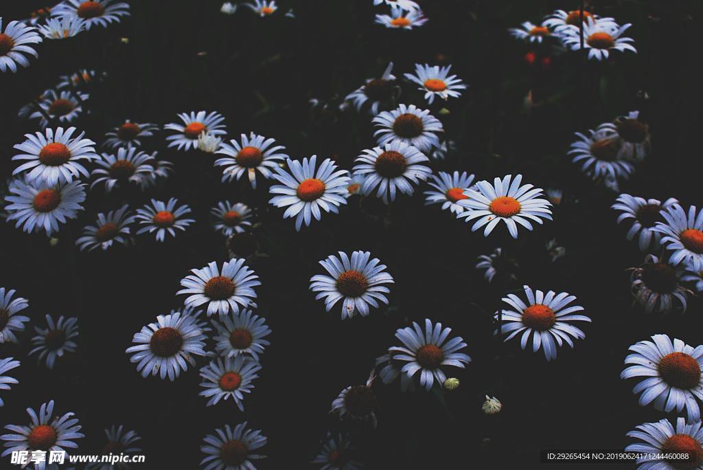 花