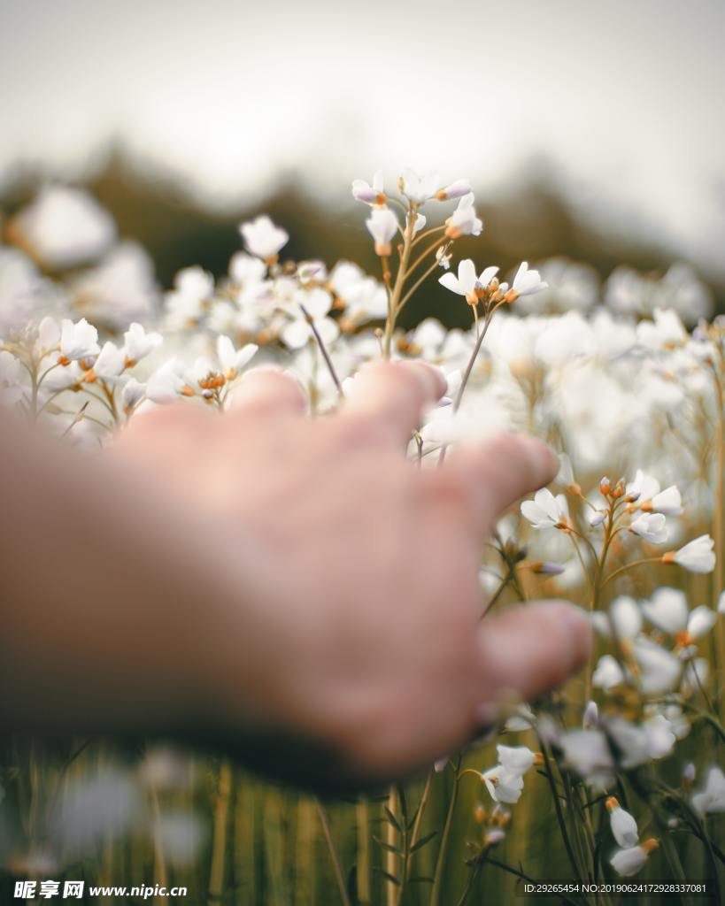 花