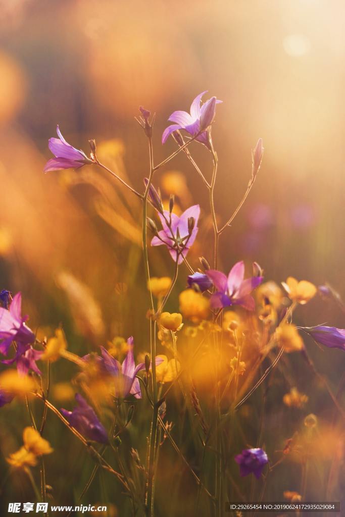 花