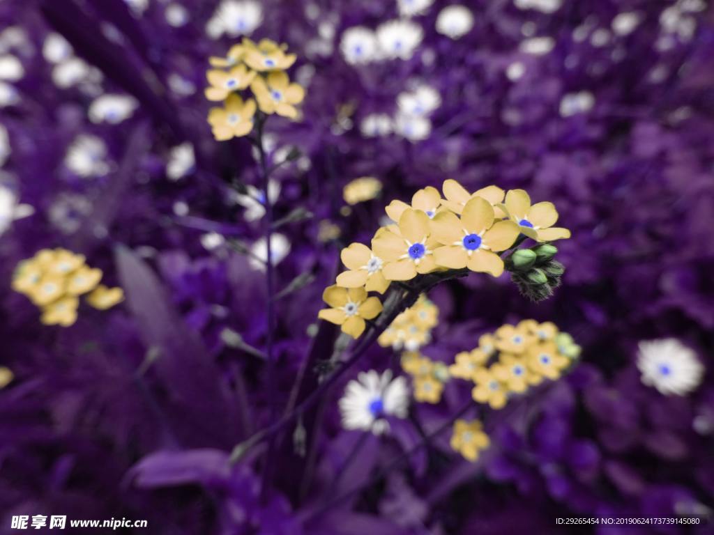 花