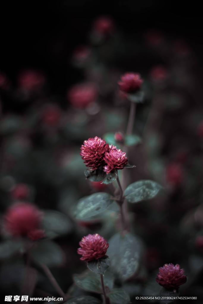 花
