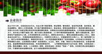 企业简介