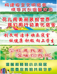 校园标语