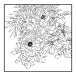 花卉