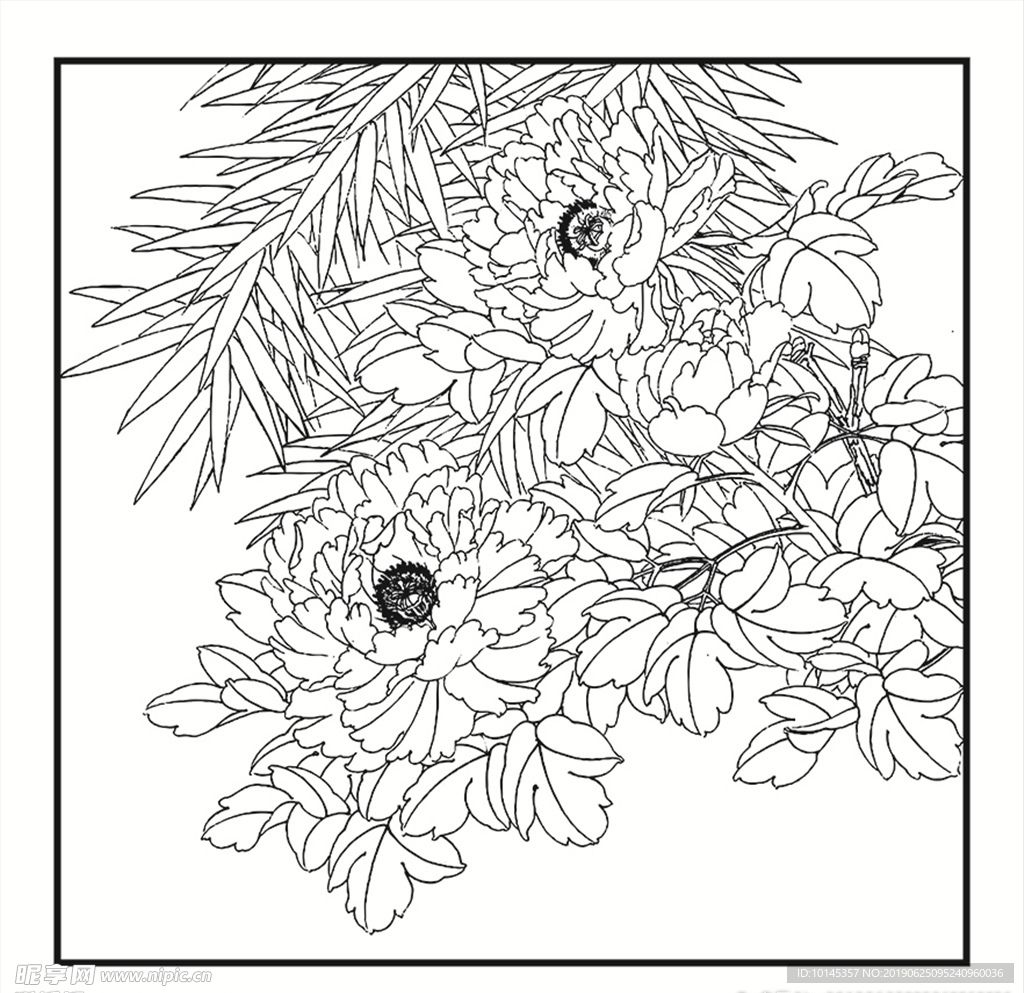 花卉