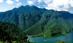 山