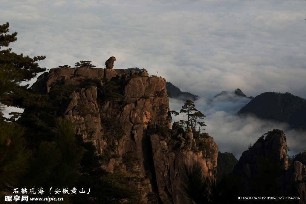 黄山猴子观海