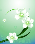 花卉
