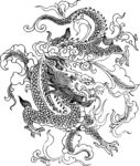 飞龙在天