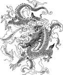 CDR龙素材